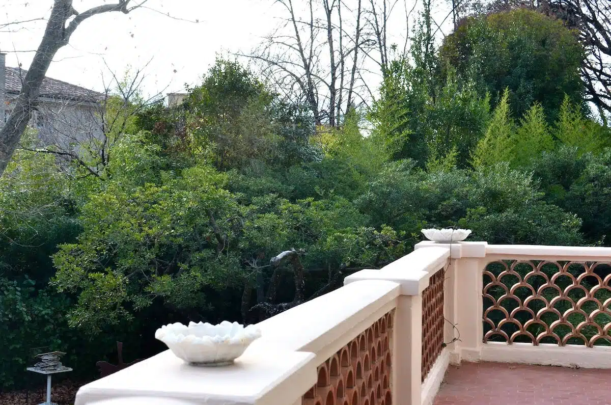 jardin verdoyant