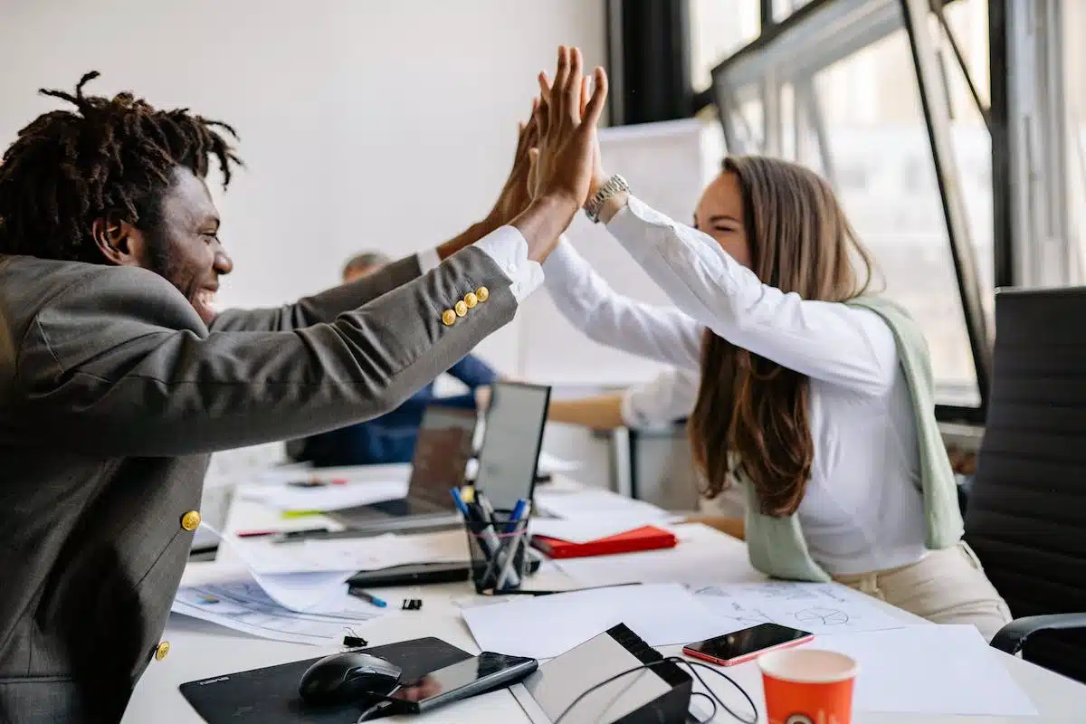 transition  professionnelle