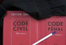 Article 515-1 du Code civil explication de l'article de loi