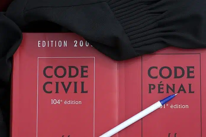 Article 515-1 du Code civil explication de l'article de loi