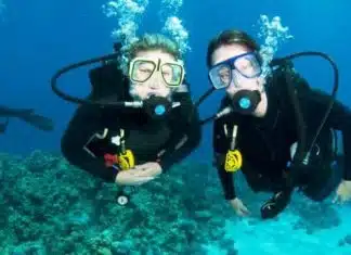 Où faire des activités de plongée ?