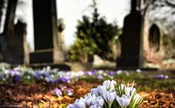 Explorez l'histoire des personnalités célèbres au cimetière du Montparnasse !