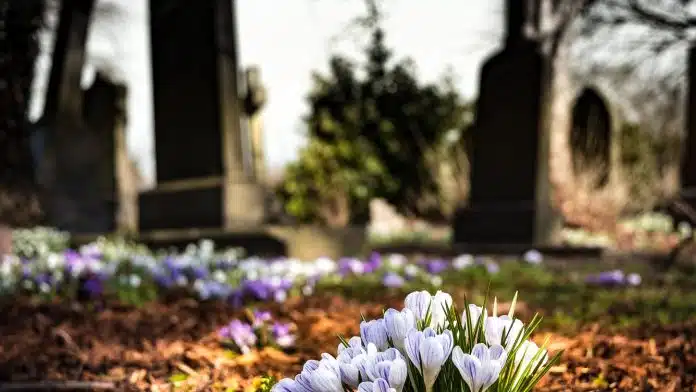 Explorez l'histoire des personnalités célèbres au cimetière du Montparnasse !