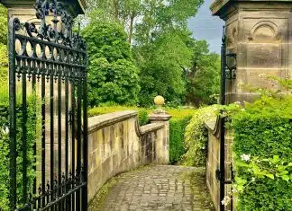 Optez pour l’élégance du fer forgé pour votre portail ! Optez pour l'élégance du fer forgé pour votre portail !